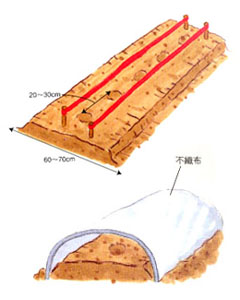 支柱立て