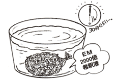 種子のEM処理