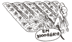 EM活性液散布