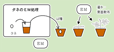 c}