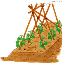 支柱立て