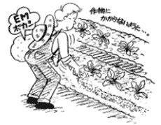 追 肥